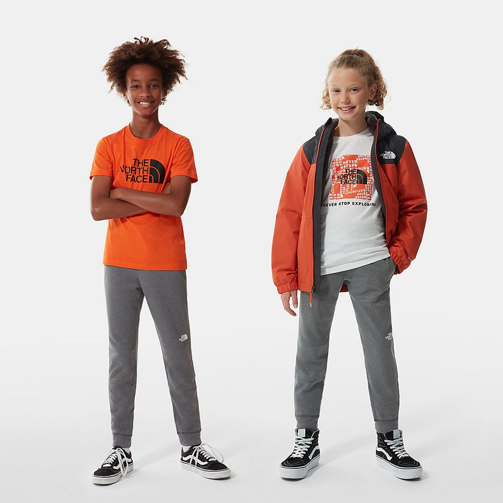 The North Face Joggers Youth Australia - The North Face Surgent Grey Running & Training (KCA-413069)